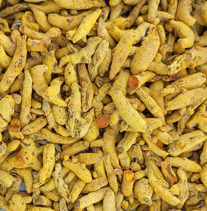 Single Polish Turmeric Finger